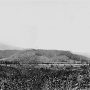 Panoramic view of Daintree, Queensland, 1936